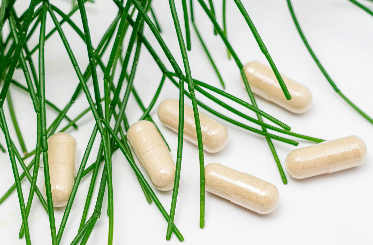 Ashwagandha eller Moringa: Vilken adaptogen passar din stress och energi?