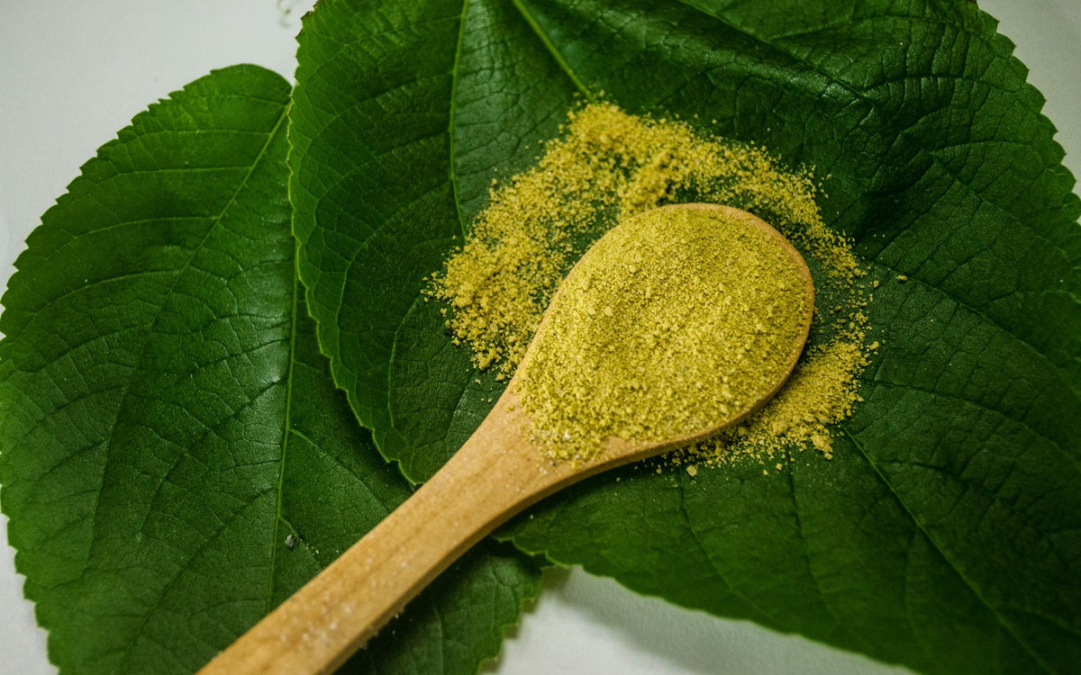 Moringa och blodsocker: Vad säger forskningen?