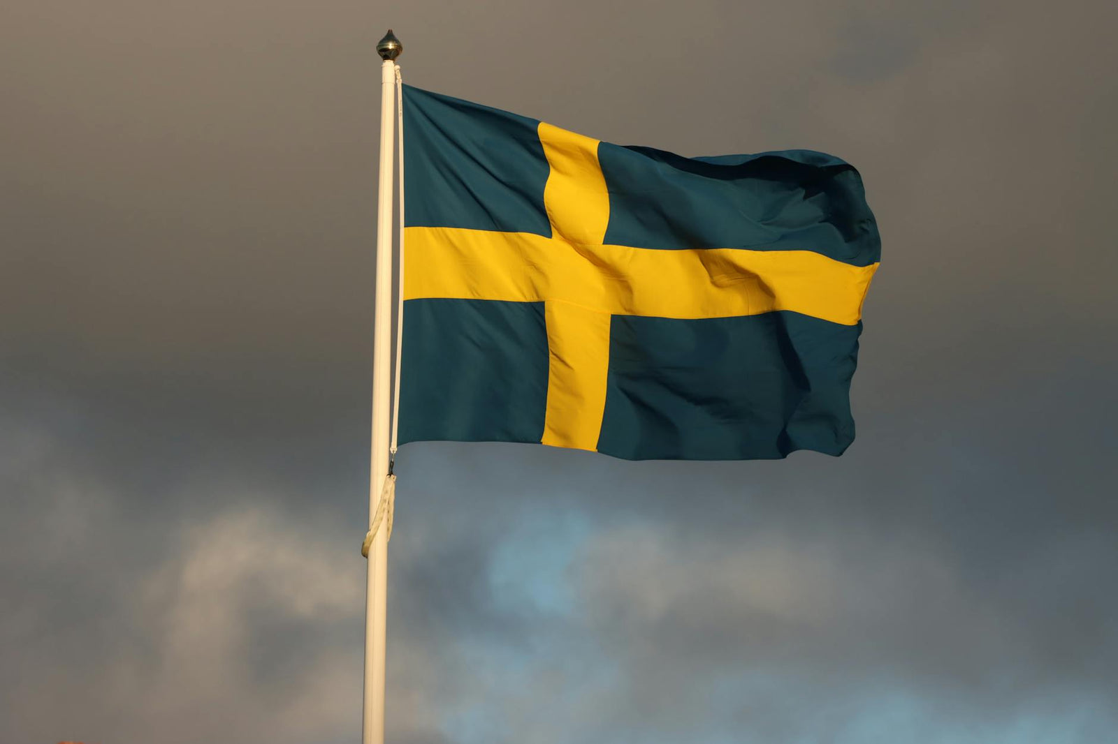 Peptider i Sverige: Regler och vad du bör veta
