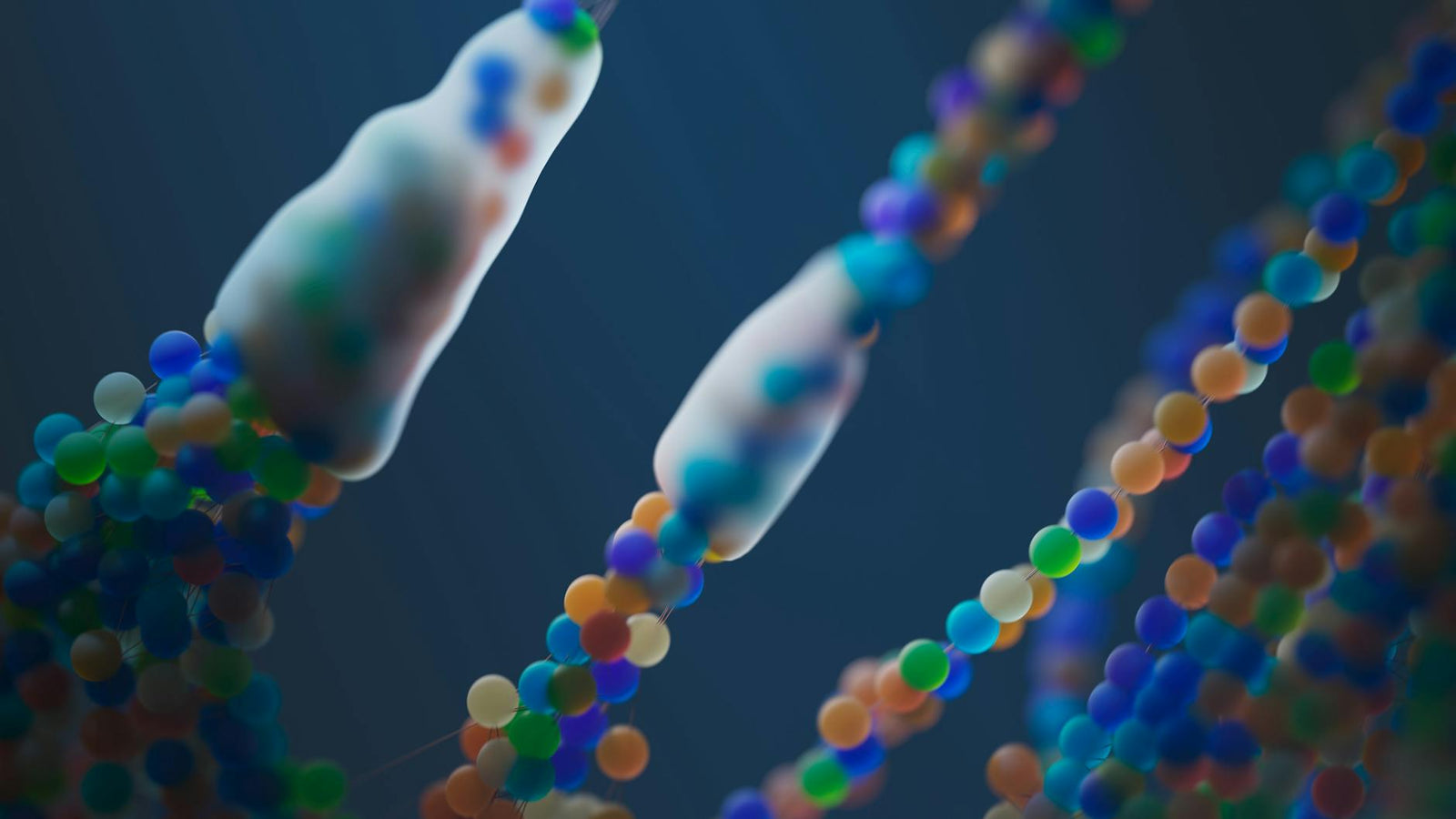 Vad är peptider? En komplett guide