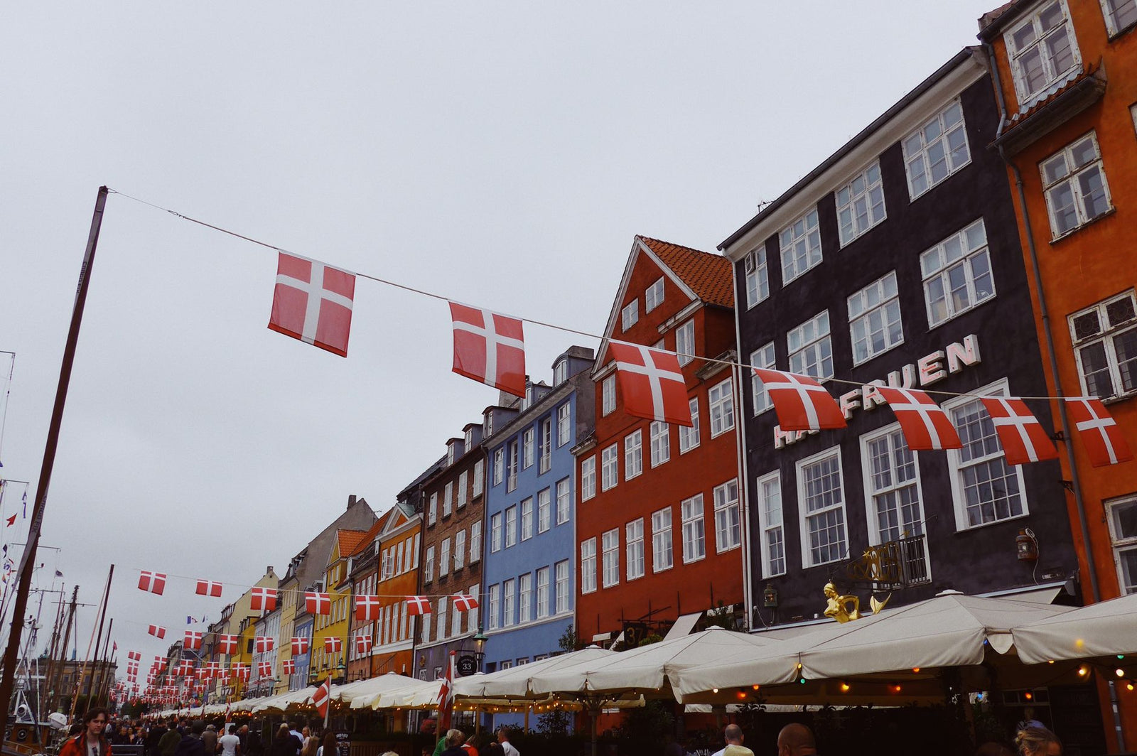 Därför är ashwagandha förbjudet i Danmark men lagligt i Sverige