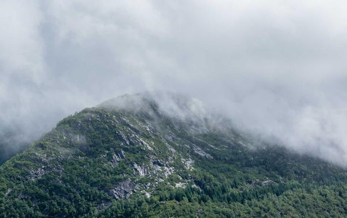 Vilka två kosttillskott bör man inte ta tillsammans?