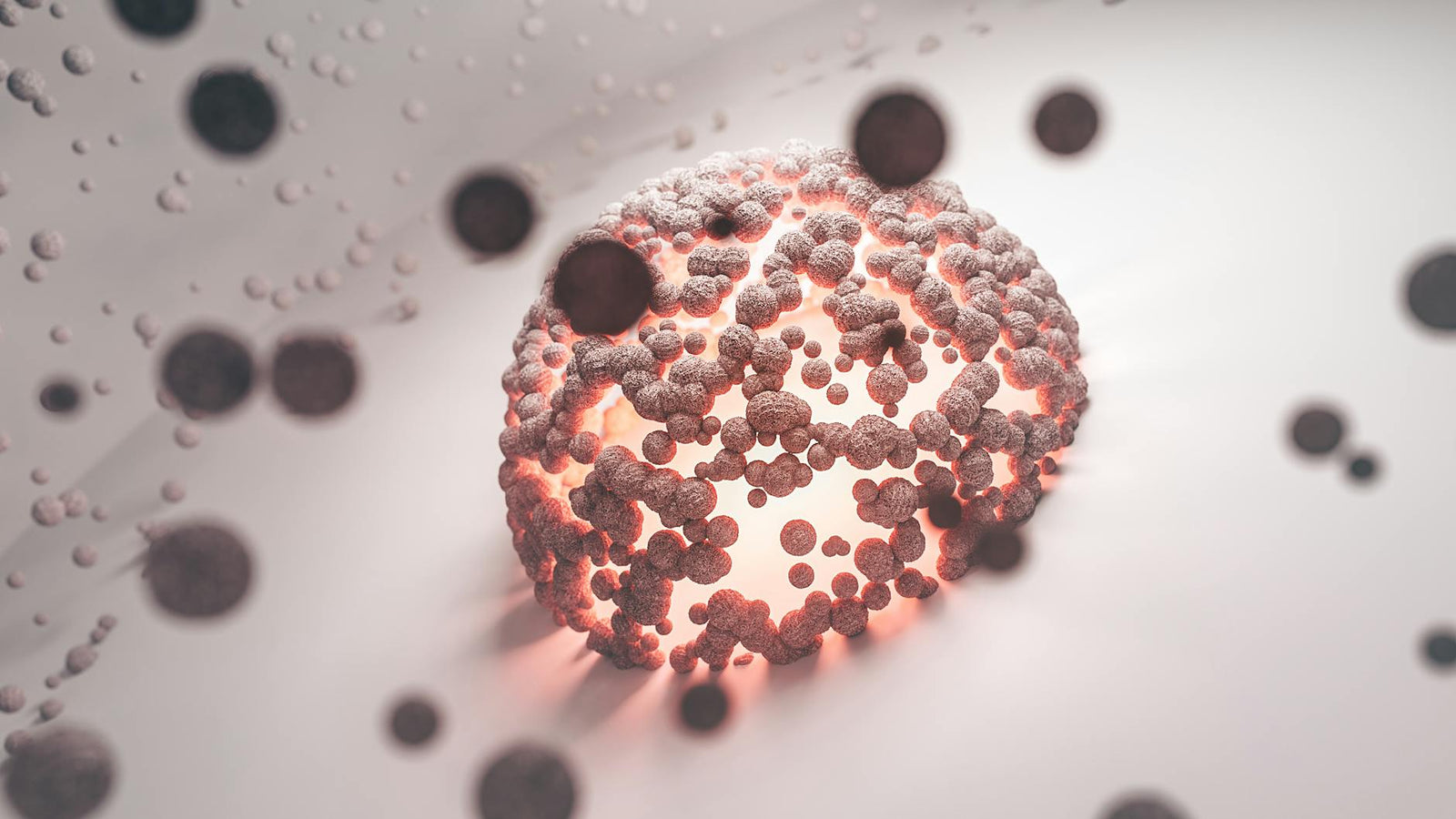 Fulvinsyra: Den aktiva substansen i shilajit