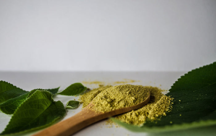 Moringa: vad är det och vad säger forskningen?