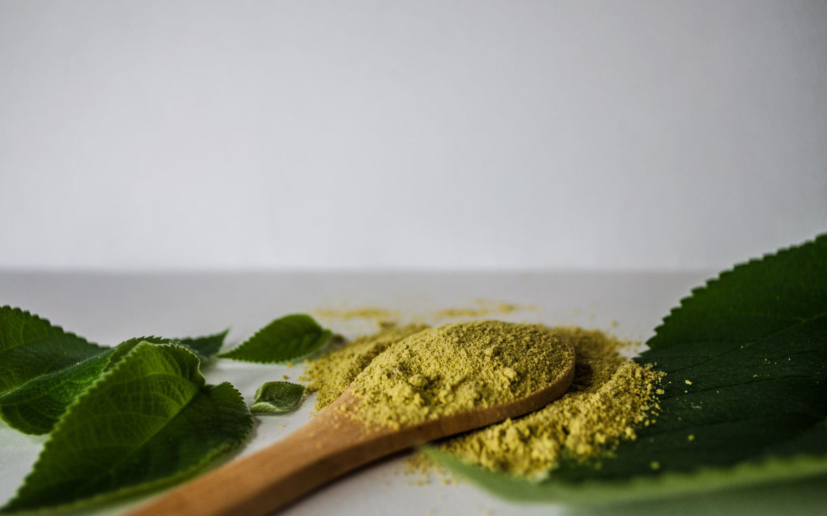 Moringa: vad är det och vad säger forskningen?