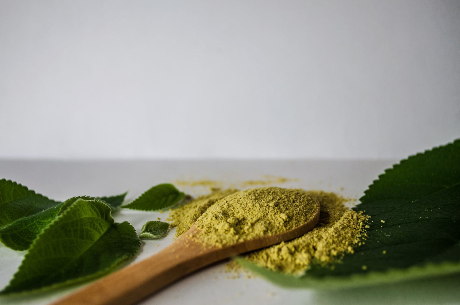 Moringa: vad är det och vad säger forskningen?