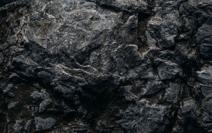 Är Shilajit säkert, eller får man i sig tungmetaller?