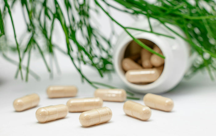 Ashwagandha biverkningar: Vad du bör veta