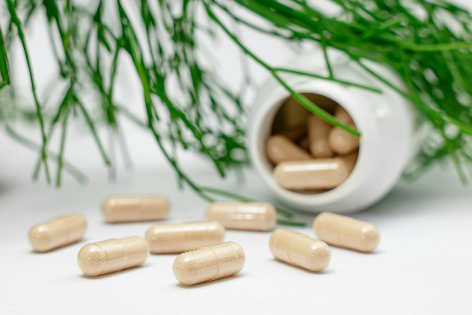 Ashwagandha biverkningar: Vad du bör veta